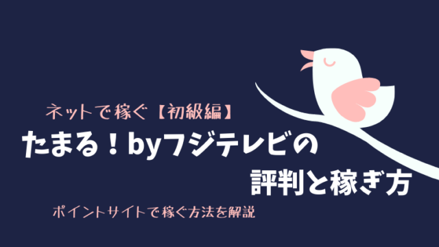 たまる！byフジテレビの解説