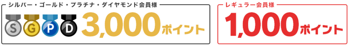 楽天スタート1000GORAの紹介