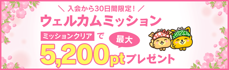 ウェルカムミッションの解説
