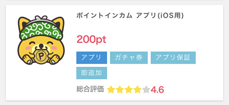 ポイントインカムの解説