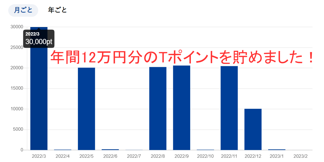 年間12万円分のTポイントを貯めた実績画像